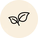 lumineye